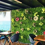Marina Fener Istanbul Airport * Karaburun (Arnavutkoy)